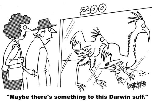 "Maybe there's something to this Darwin stuff."