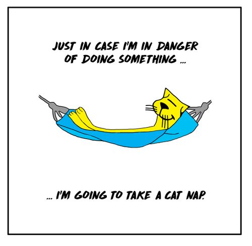 "Just in case I'm in danger of doing something. . . I'm going to take a cat nap."