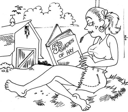 50 Shades of Hay