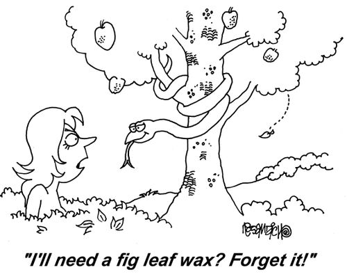"I'll need a fig leaf wax? Forget it!"