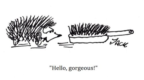 "Hello, gorgeous!"