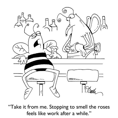 "Take it from me. Stopping to smell the roses feels like work after a while."
