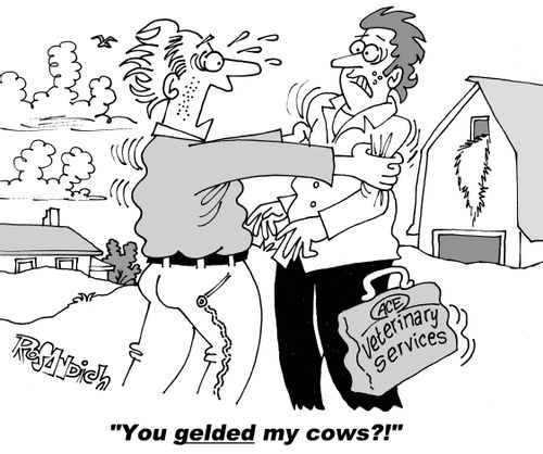 "You gelded my cows?!"