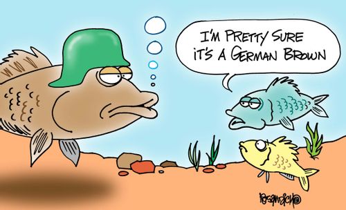 "I'm pretty sure it's a German Brown."