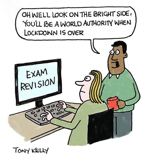 "Oh well look on the bright side, you'll be a world authority when lockdown is over."