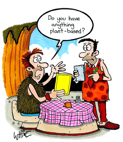 "Do you have anything plant-based..?"