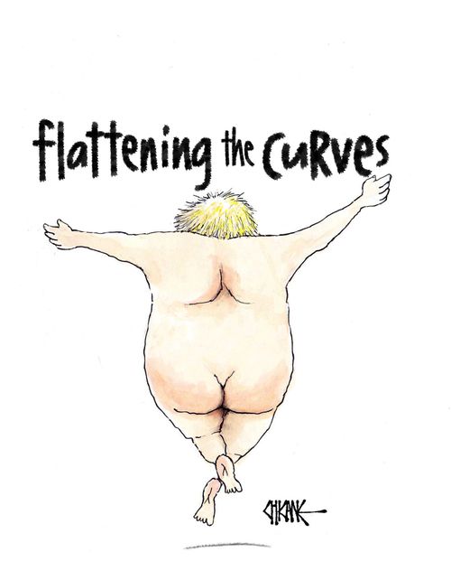 Flattening the Curves