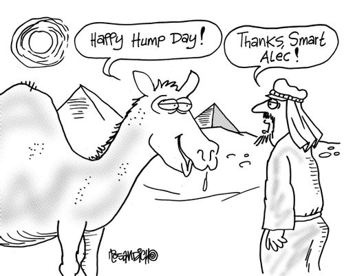 "Happy Hump Day!"