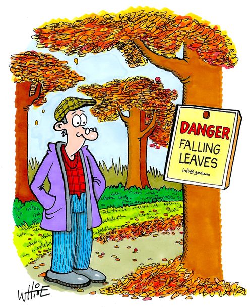 Danger Falling Leaves