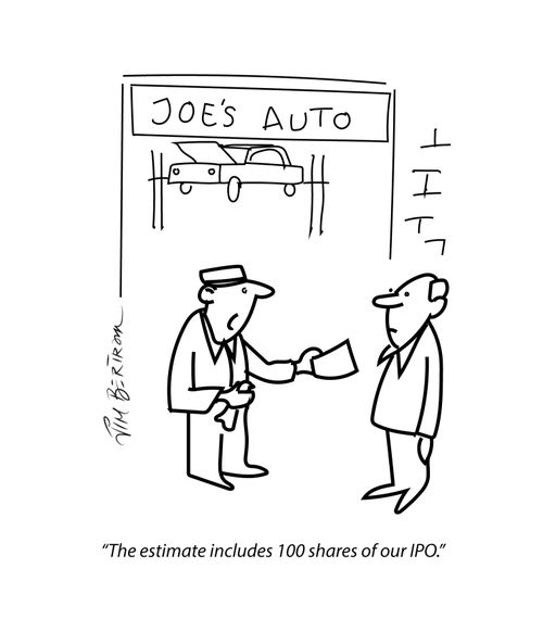 "The estimate includes 100 shares of our IPO."