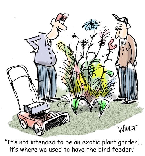 "It's not intended to be an exotic plant garden...it's where we used to have the bird feeder."