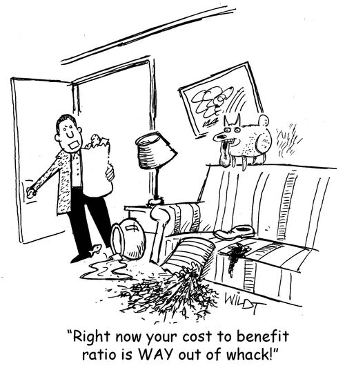 "Right now your cost to benefit ratio is way out of whack!"