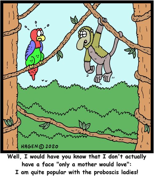 "Well, I would have you know that I don't actually have a face "only a mother would love": I am quite popular with the proboscis ladies!"
