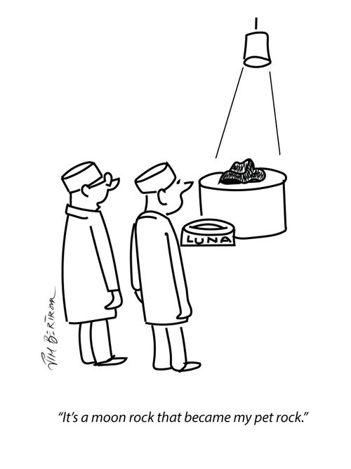 "It's a moon rock that became my pet rock."