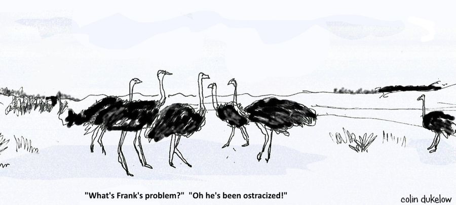 "What's Frank's problem?"