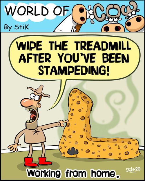 "Wipe the treadmill after you've been stampeding!"
