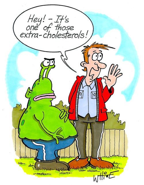 ". . . It's one of those extra-cholesterols!"