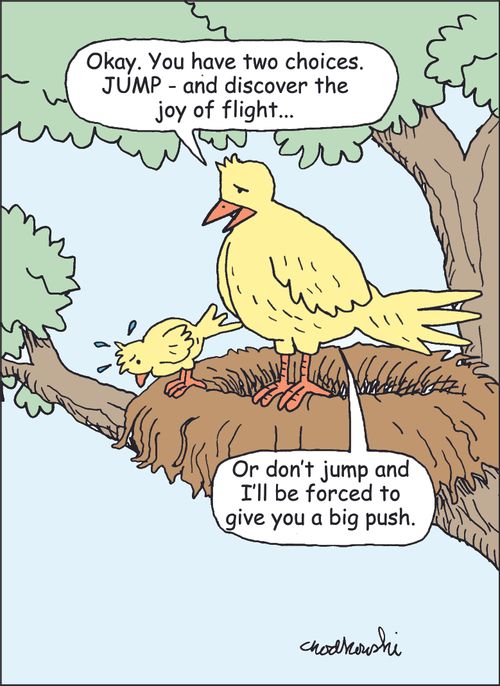 "Okay. You have two choices. Jump - and discover the joy of flight. . ."