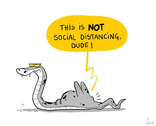 "This is NOT social distancing dude!"