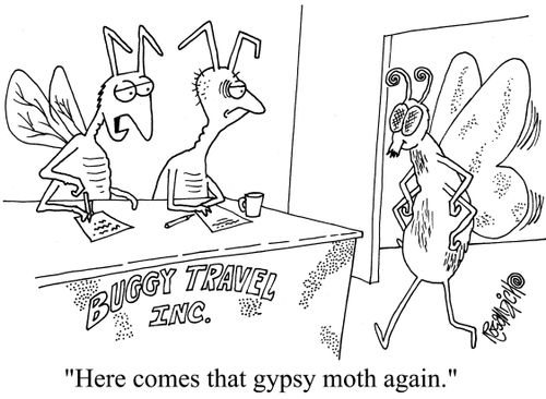 "Here comes that gypsy moth again."