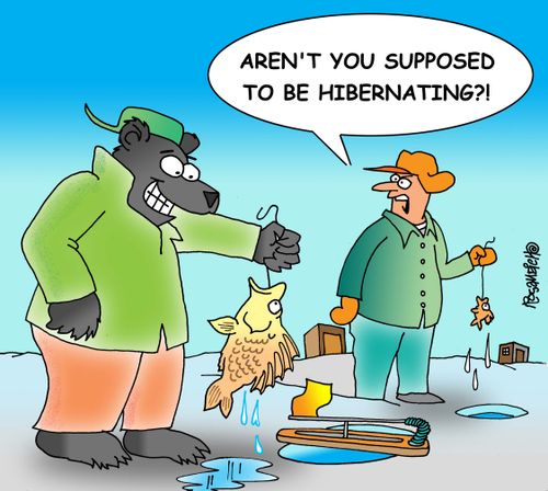 "Aren't you supposed to be hibernating?!"
