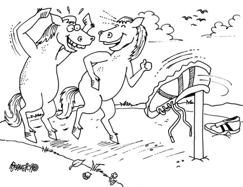 Role Reversal Horseshoe Game