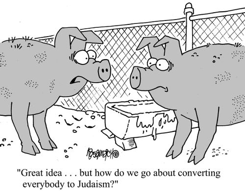 "Great idea. . . but how do we go about converting everybody to Judaism?"
