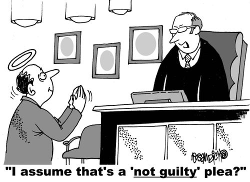 "I assume that's a 'not guilty' plea?"