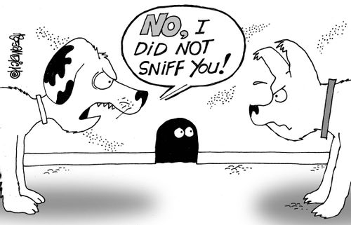 "No, I did not sniff you!"