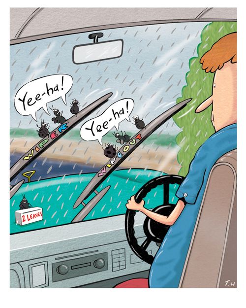 Bugs on the Wiper Wiperblades ride.