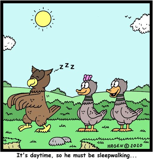"It's daytime, so he must be sleepwalking..."