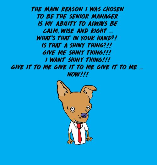 The main reason I was chosen to be the senior manager is my ability to always be calm, wise and right. . .What's that in your hand?! Is that a shiny thing?!!. . ."