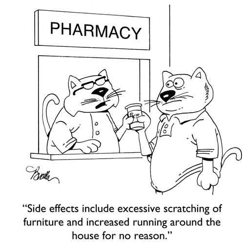 "Side effects include excessive scratching of furniture and increased running around the house for no reason."