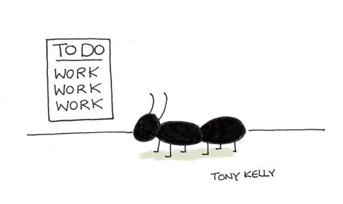 Worker ant's To Do list.