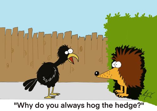 "Why do you always hog the hedge?"