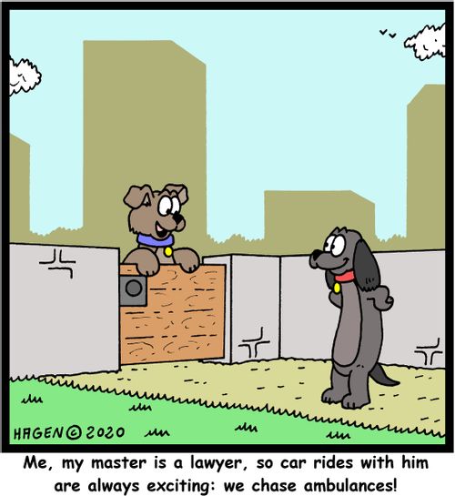 Me, my master is a lawyer, so car rides with him are always exciting: we chase ambulances!"