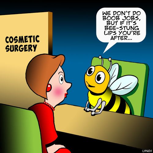 "We don't do boobs jobs, but if it's bee-stung lips you're after. . ."