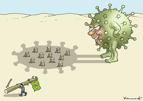 Coronavirus Crisis