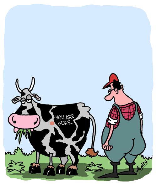 Mooo!