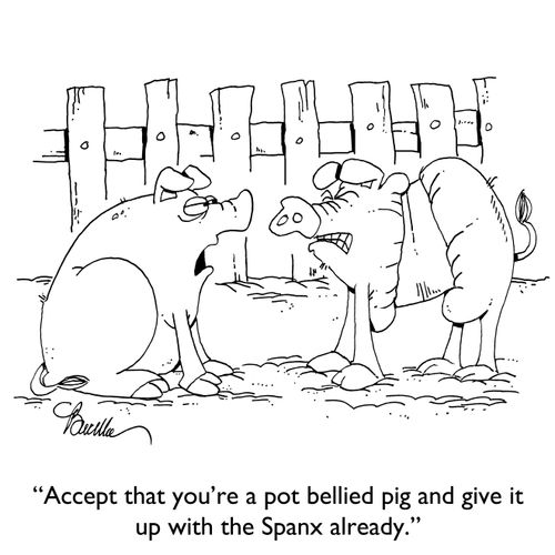 "Accept that you're a pot bellied pig and give it up with the Spanx already."