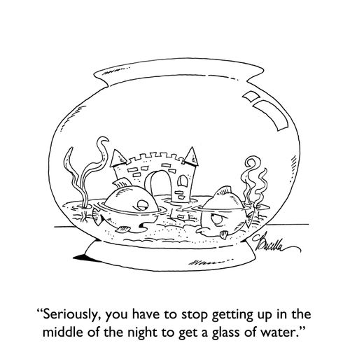 "Seriously, you have to stop getting up in the middle of the night to get a glass of water."