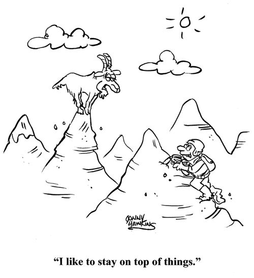 "I like to stay on top of things."