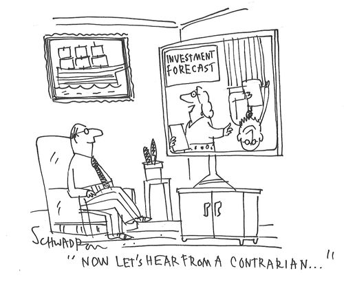 "Now let's hear from a contrarian."
