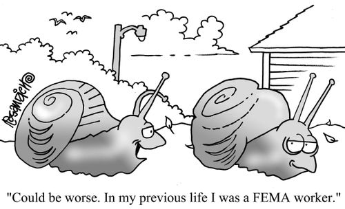 "Could be worse. In my previous life I was a FEMA worker."