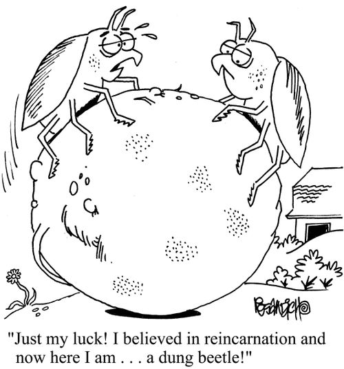 "Just my luck! I believe in reincarnation and now here I am . . . a dung beetle!"