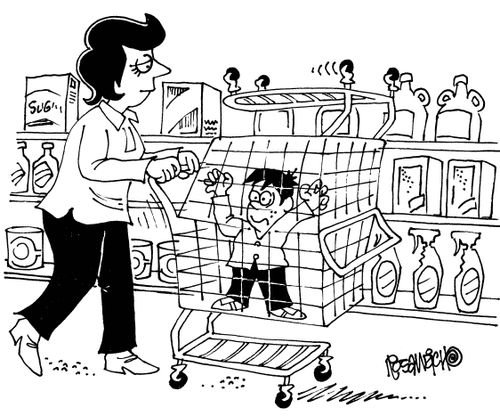 Trolley Cage
