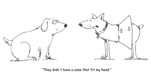 "They didn't have a cone that fit my head." 