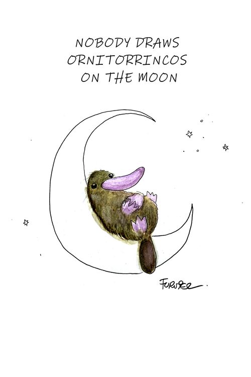 Nobody Draws Ornitorrincos on the Moon