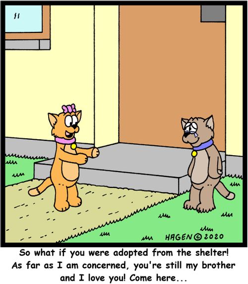 "So what if you were adopted from the shelter! As fas as I am concerned, you're still my brother and I love you! come here..."