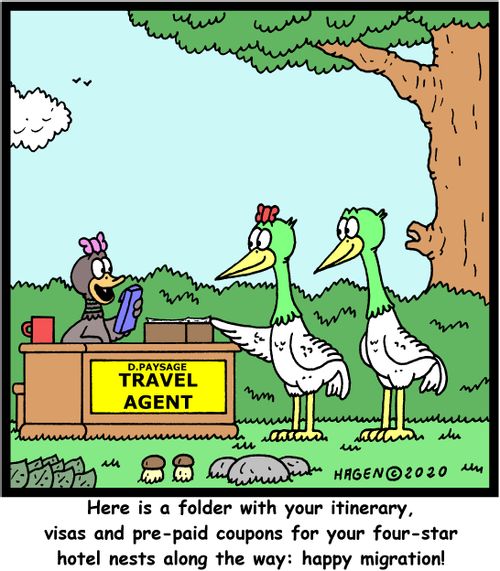 "Here is a folder with your itinerary, visas and pre-paid coupons for your four-star hotel nests along the way: happy migration!"